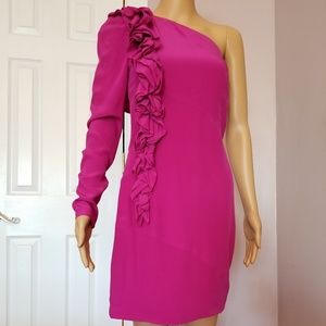 Lovely fuchsia silk Robert Rodriguez mini